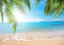 Фреска море, пляж, листья пальмы